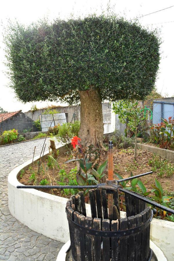 Casa Rebelo Pensionat Cossourado  Exteriör bild