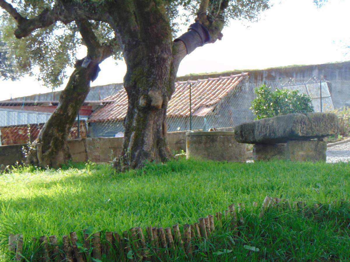 Casa Rebelo Pensionat Cossourado  Exteriör bild